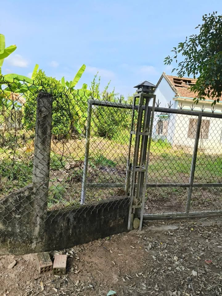 Mảnh vườn 723m² tại xã Đức Lân, Mộ Đức - Đầu tư lý tưởng với giá tốt!