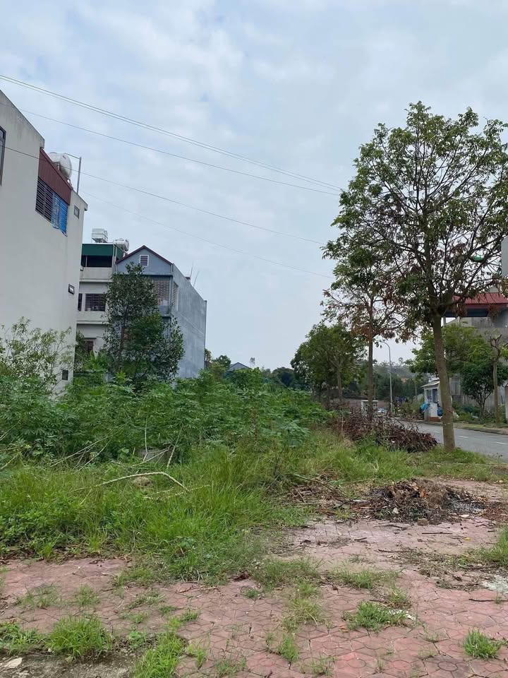 Đất nền Khu đô thị Licogi Chí Linh 95m² - Cơ hội đầu tư hấp dẫn!