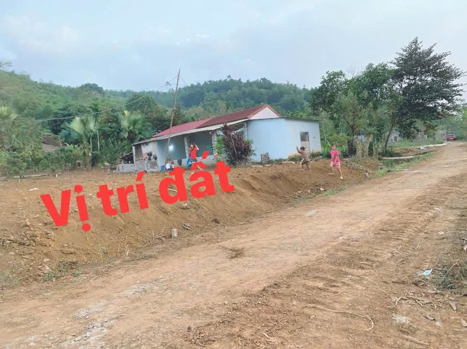 Đất liền kề 130m² xã Cao Ngọc - Giá chỉ 100 triệu, vị trí thuận lợi!