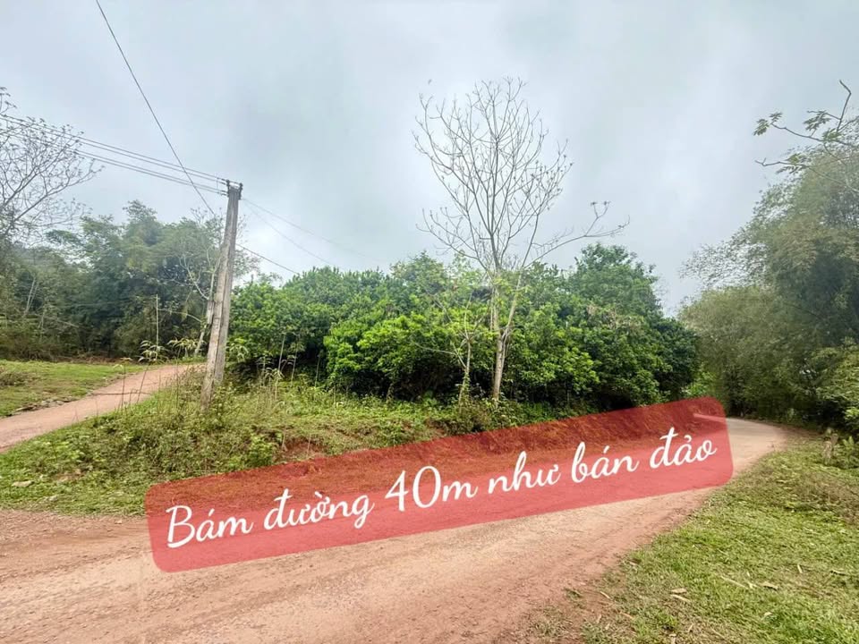 Đất nền Xóm Cò, Nhân Mỹ 2664m² giá 1 tỷ - View núi đẹp, sẵn nhà ở ngay!