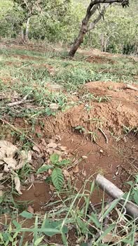 Đất nền 1ha28 tại Quảng Tân, Tuy Đức giá chỉ 1.35 tỷ - Đầu tư sinh lời ngay!