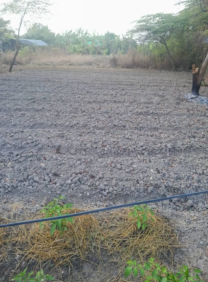 Đất mặt tiền tỉnh lộ 873B, phường Sơn Qui, 658.6m² giá 2.6 tỷ - Đầu tư sinh lời ngay!