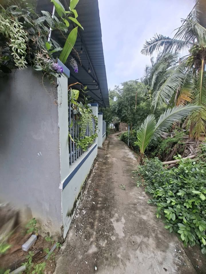 Đất nền Mỹ Hải 100m² giá 300 triệu - Đầu tư sinh lời ngay!