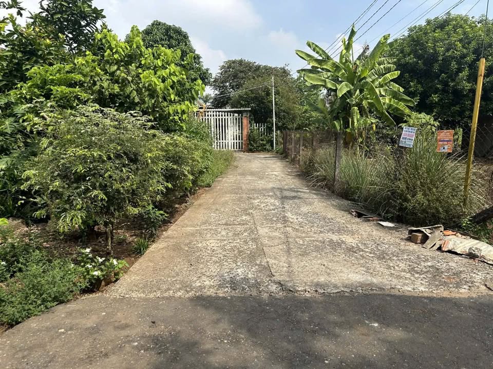 Đất nền góc 2 mặt tiền tại Hoà Long, Bà Rịa - 161m² chỉ 1.6 tỷ - Cơ hội đầu tư hấp dẫn!