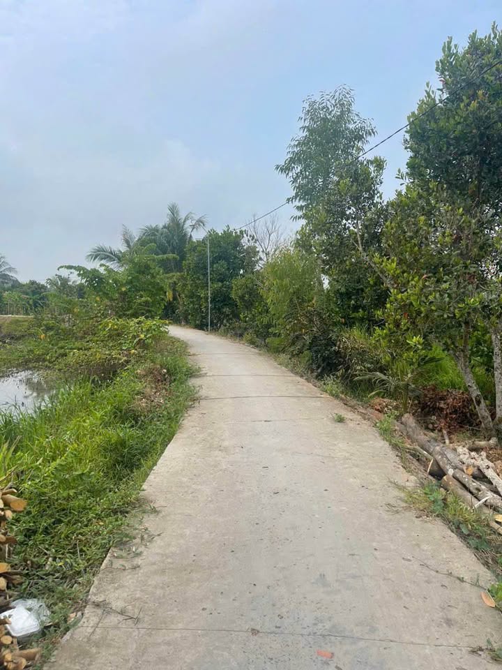 Đất nền Đông Thành, Bình Minh 1000m² giá 700 triệu - Đầu tư sinh lời ngay!