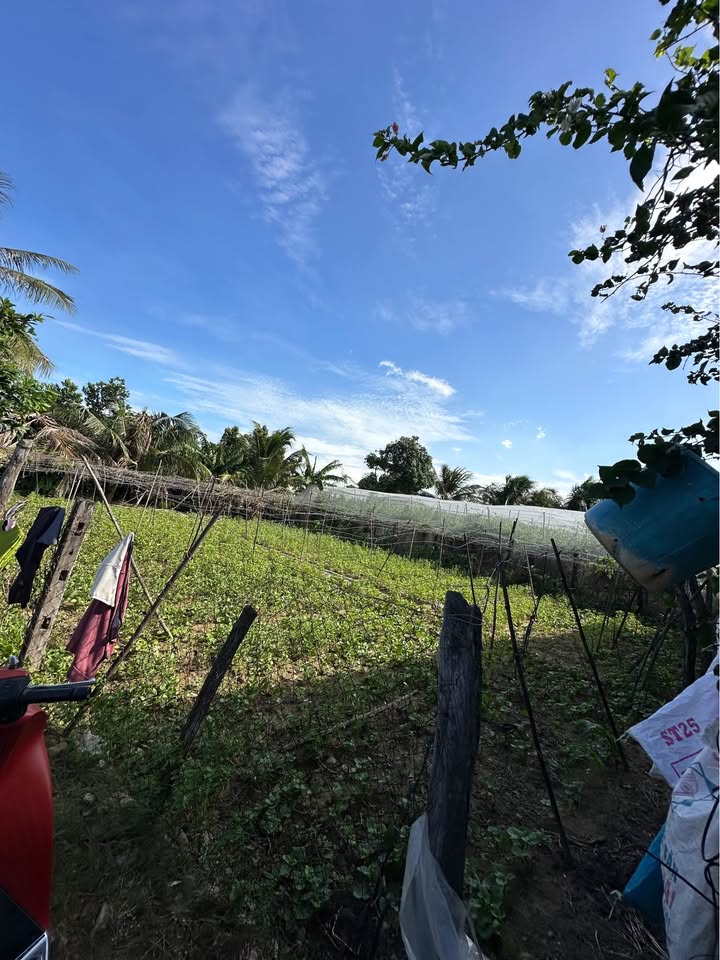 Đất HNK 300m² bán gấp tại Phan Rang, Ninh Thuận - Đầu tư sinh lời ngay!