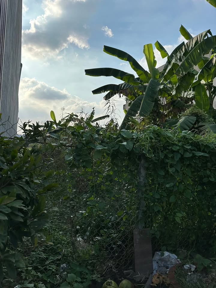 Đất nền KDC Tân Phú Đông - Sa Đéc 80m² giá 650 triệu - Đường ô tô vào tận nơi!