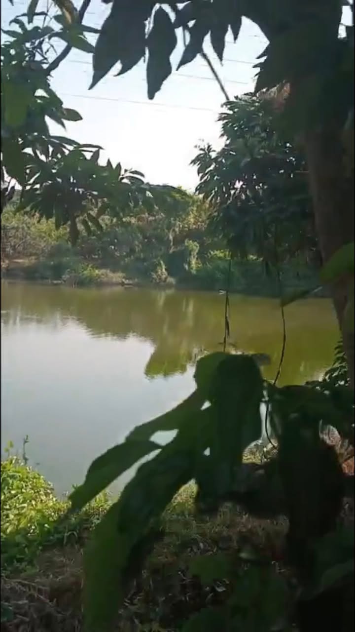 Đất Farm Quý Sơn, Lục Ngạn 6234m² giá 2.494 tỷ - Tiềm năng nghỉ dưỡng lý tưởng!