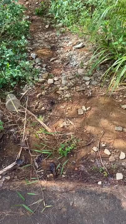 Đất Măng Đen 1006.71m² giá 400 triệu - Cơ hội đầu tư nghỉ dưỡng lý tưởng!