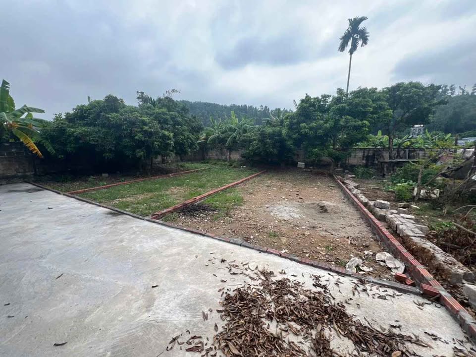 Đất An Sơn, Việt Khê 70m² giá chỉ 300 triệu - Đầu tư sinh lời ngay!