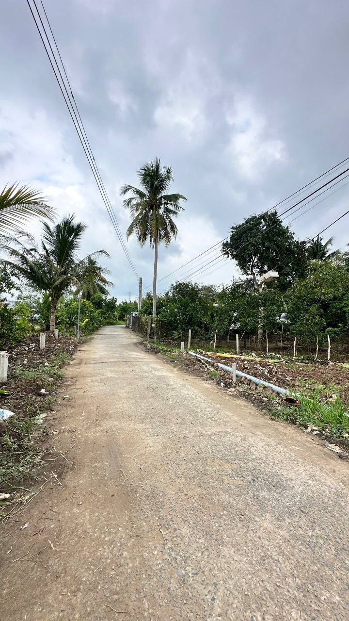 Đất nền Phong Điền Cần Thơ 157m² giá 750 triệu - Sổ đỏ chính chủ, cơ sở hạ tầng hoàn chỉnh!