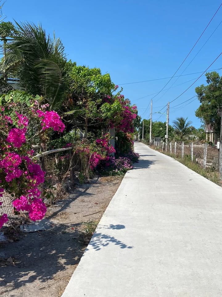 Đất nền Phước Thọ La Gi 1368m² giá 2.1 tỷ - Tiềm năng đầu tư lớn!