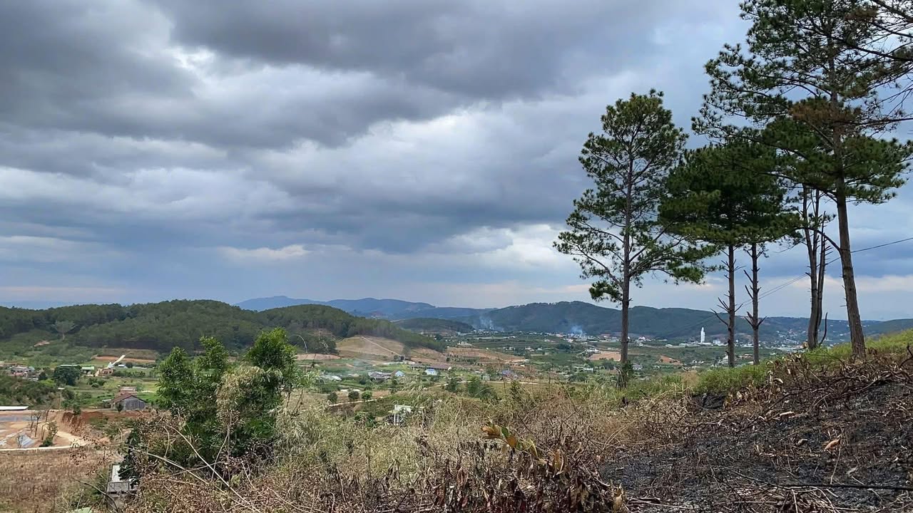 Đất nền Nam Ban Lâm Hà 1000m² giá chỉ 1.4 tỷ - Cơ hội đầu tư tuyệt vời!