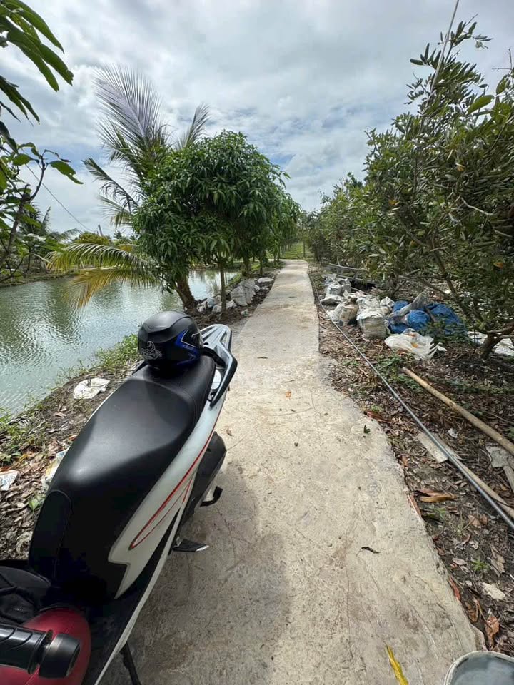 Đất vườn mini 2039m² tại Châu Đốc, An Giang giá chỉ 1.63 tỷ - Tiềm năng đầu tư lớn!