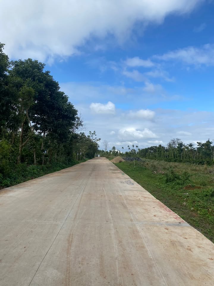 Bán lô đất Tân An Buôn Ma Thuột 110m² giá 1.45 tỷ - Tiềm năng tăng giá cao!