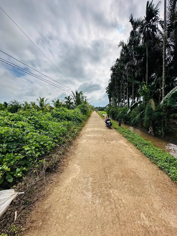 Đất nền 3600m² tại Thôn 6, xã Cuôr Knia, Buôn Đôn - Giá chỉ 379 triệu