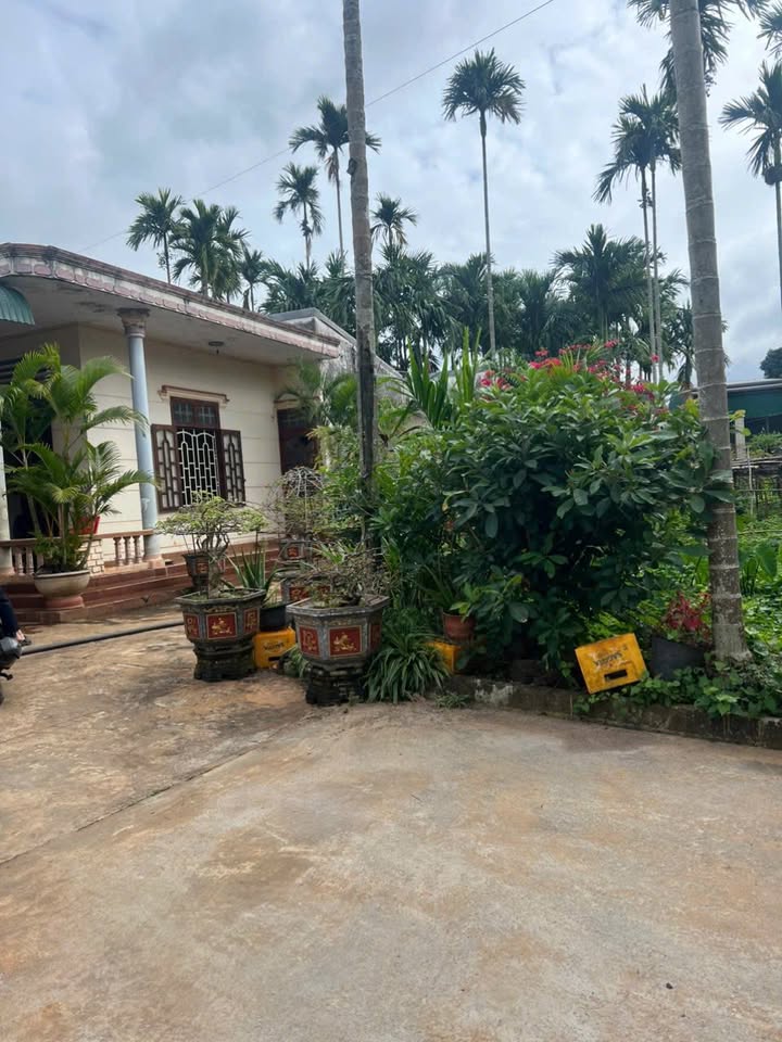 Đất thổ cư 2 mặt tiền Cư M'gar 175m² giá chỉ 780 triệu - Cơ hội đầu tư tuyệt vời!