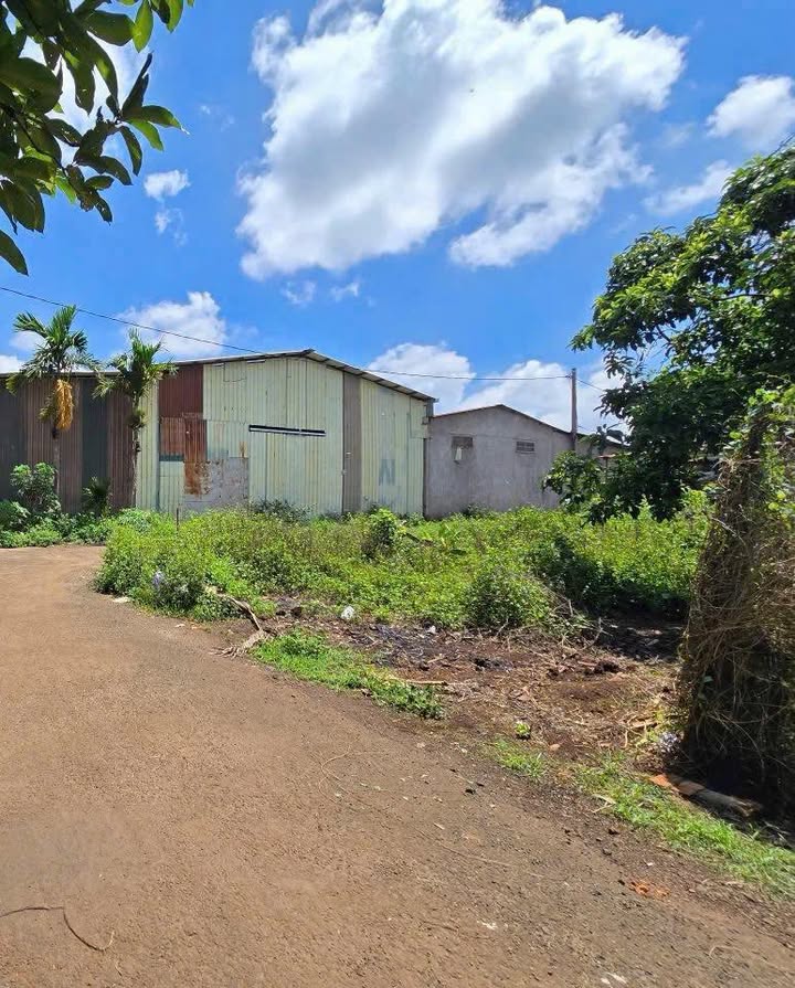 Đất nền Hòa Thắng Buôn Ma Thuột 230m² giá 2.35 tỷ - Đầu tư sinh lời hấp dẫn!