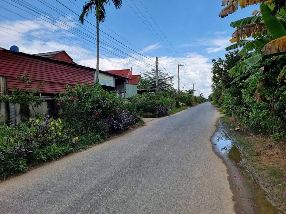 Farm tại xã Quảng Ngãi, huyện Cát Tiên, Lâm Đồng 5000m² giá chỉ 2,3 tỷ - Đầu tư sinh lời ngay!