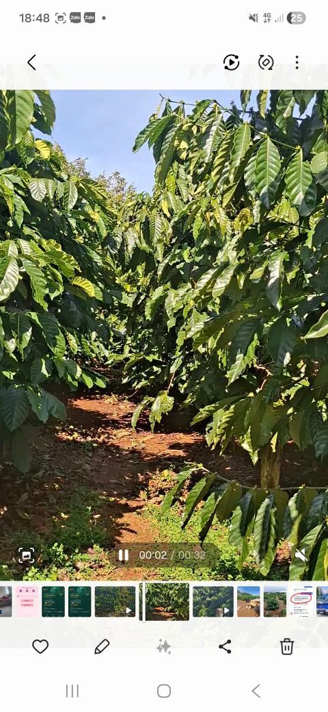 Đất thổ cư Phúc Thọ, Lâm Hà 100m² giá 950 triệu - Mặt đường nở hậu, đầu tư an tâm!