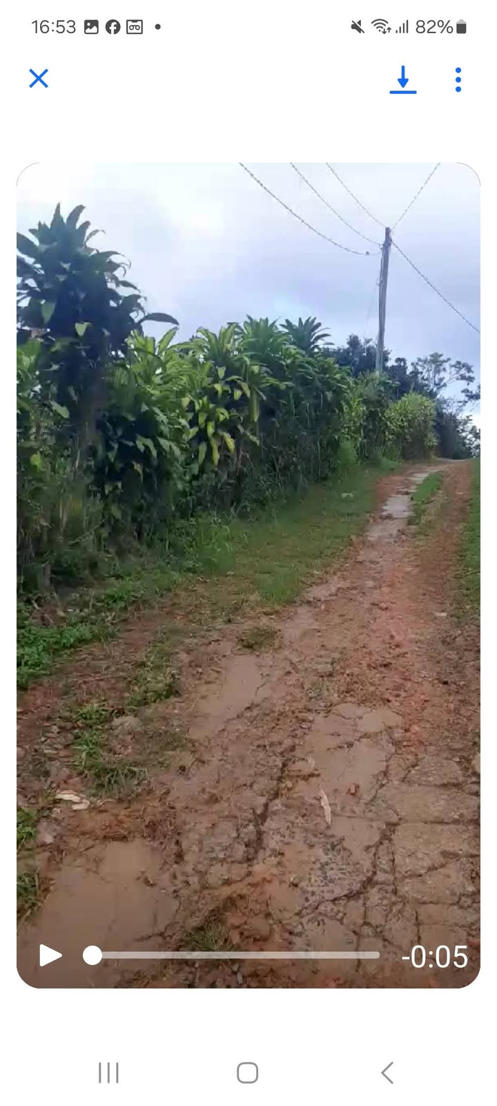 Đất thổ cư 9.000m² tại Tân Lâm, Di Linh - Giá chỉ 1.296 tỷ, đầu tư sinh lời ngay!