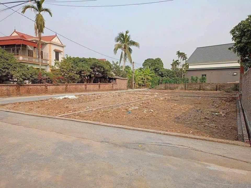 Đất nền Thanh Xá 100m² giá 700 triệu - Ô tô đỗ cửa ngay!