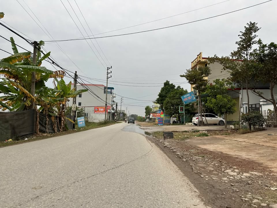 Đất đấu giá Thanh Vân, Tam Dương, Vĩnh Phúc 108m² - Cơ hội đầu tư tuyệt vời!