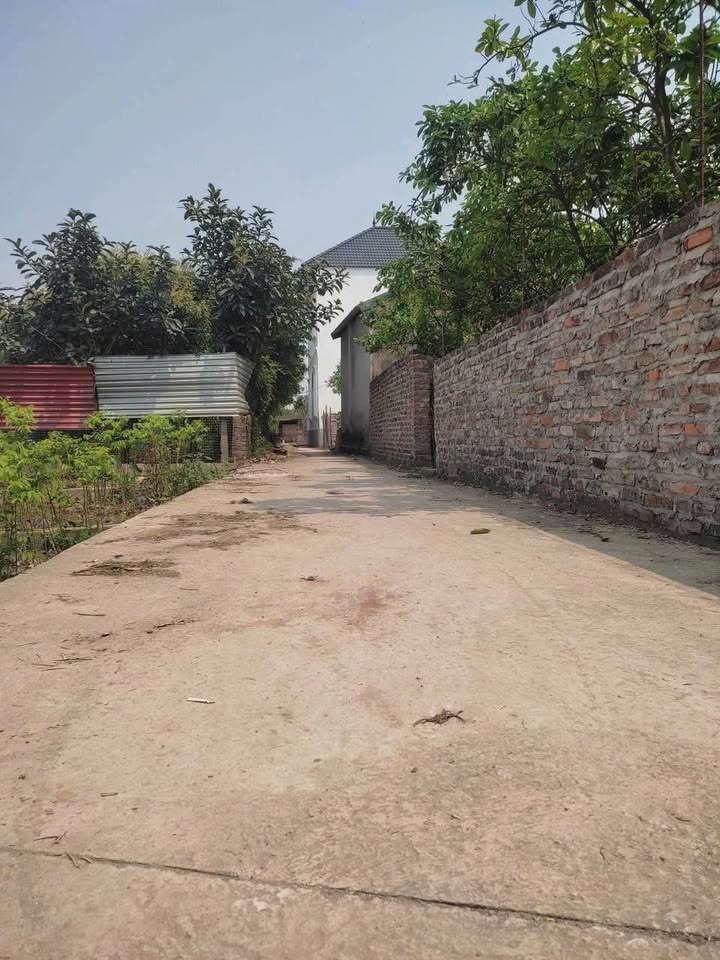 Đất nền Chương Lộc Thường Tín 52,5m² giá 3 tỷ - Đầu tư sinh lời hiệu quả!