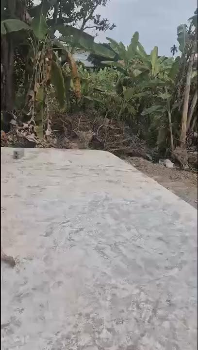 Đất nền Chương Dương Thường Tín 87.3m² giá chỉ từ 5x triệu - Cơ hội đầu tư tuyệt vời!