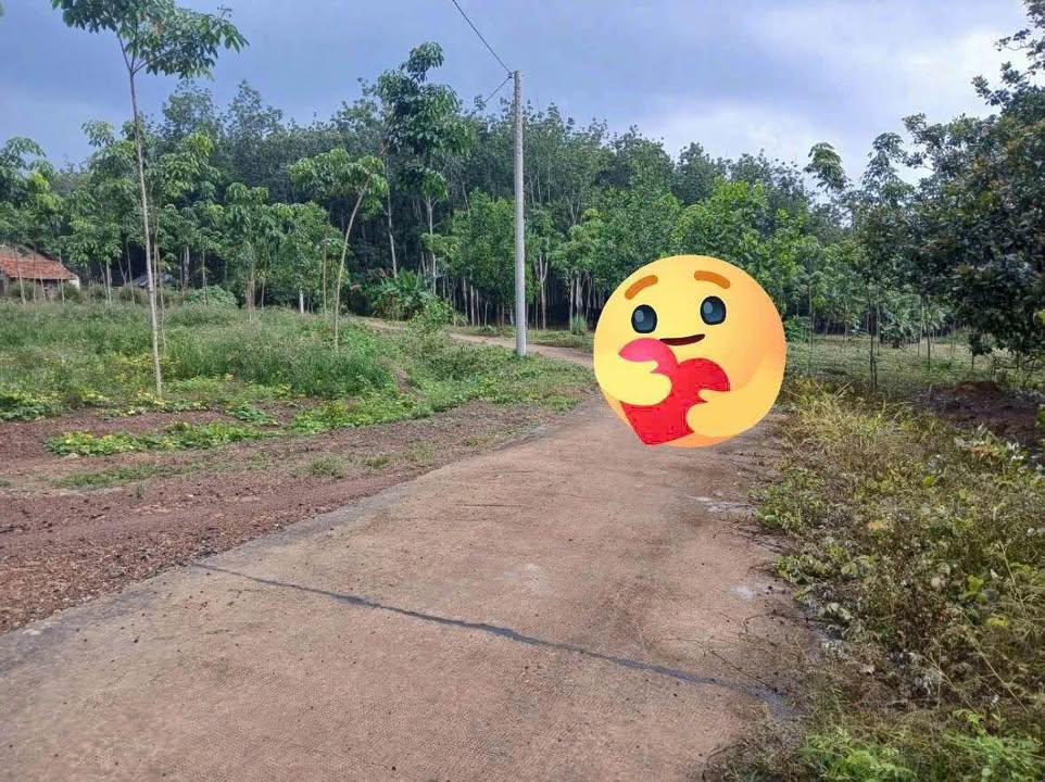 Đất nền ấp Suối Binh, xã Đồng Tiến, 1000m² giá 300 triệu - Đầu tư sinh lời ngay!