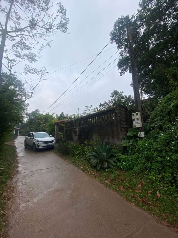 Đất thổ cư Quyết Thắng 541m² giá 9 triệu - Đầu tư sinh lời ngay!