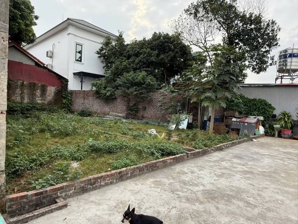 Đất nền Tân Dân Việt Trì 112m² giá 1.89 tỷ - Vị trí trung tâm đắc địa!