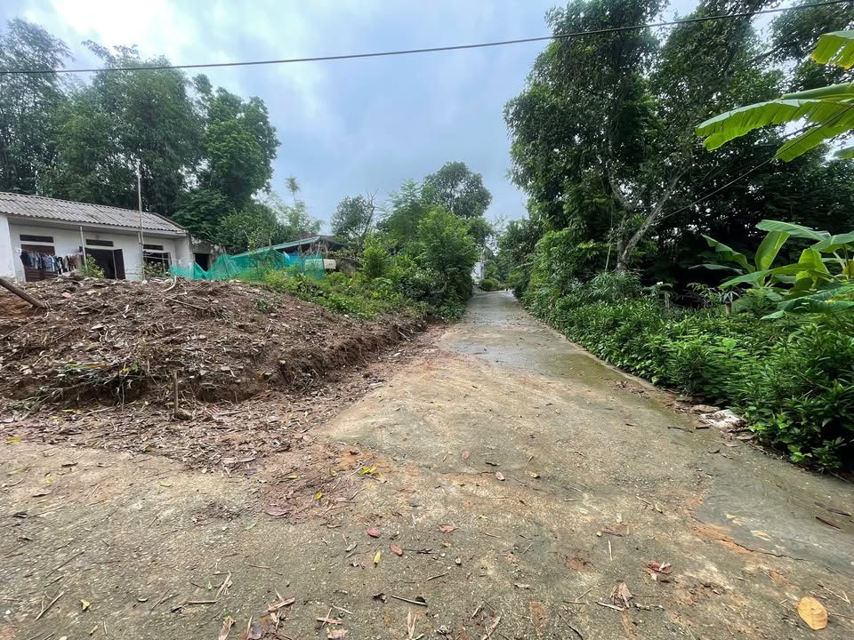 Lô đất Phượng Lâu Việt Trì 80m² giá 1 tỷ - Cơ hội đầu tư tuyệt vời!