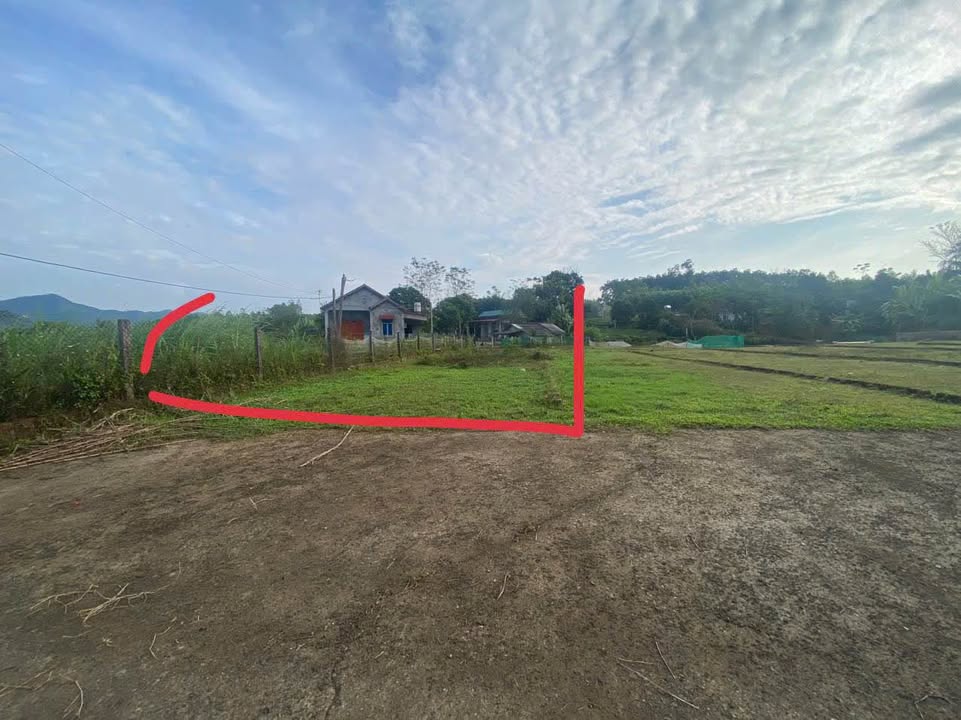 Đất nền Tề Lễ, Tam Nông 270m² giá chỉ 400 triệu - Đường thông tứ phía, chính chủ bán!