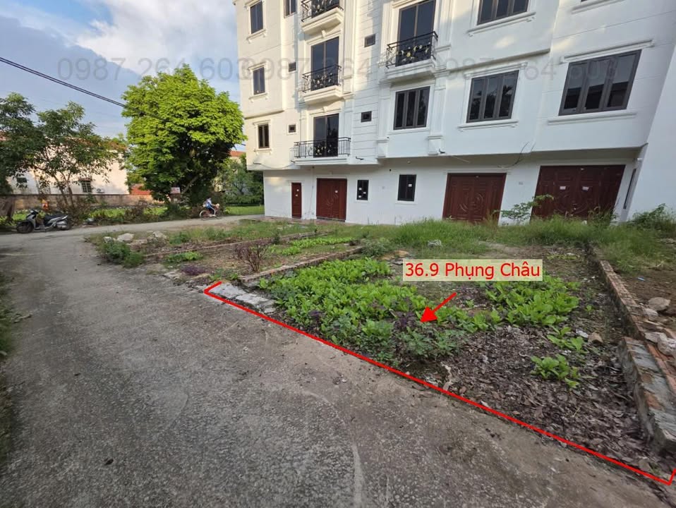 Đất thổ cư lô góc Phụng Châu 36.9m² chỉ 2 tỷ - Cơ hội đầu tư hấp dẫn!