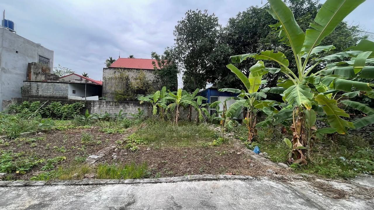 Đất thổ cư thôn Vân, Hợp Thanh, Mỹ Đức 51,1m² giá 800 triệu - Khu dân trí cao, đầu tư sinh lời!