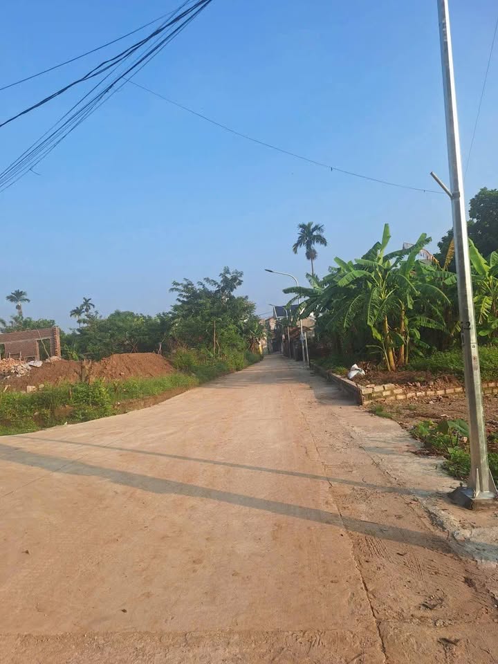 Đất thổ cư 124.6m² thôn Vĩnh An, Mỹ Đức - Giá hợp lý cho nhà đầu tư!