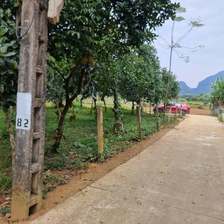 Đất nền Sào Báy Kim Bôi 100m² giá 400 triệu - Đầu tư sinh lời ngay!