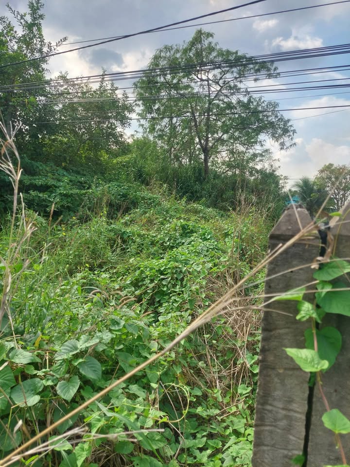 Đất nền mặt tiền tỉnh 932, Sóc Trăng 390m² giá 1.2 tỷ - Đầu tư sinh lời ngay!