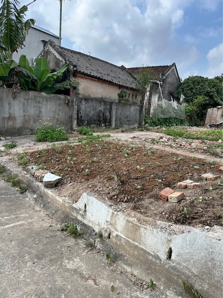 Đất nền Vũ Bản, Bình Lục 79m² giá 600 triệu - Đầu tư sinh lời hấp dẫn!