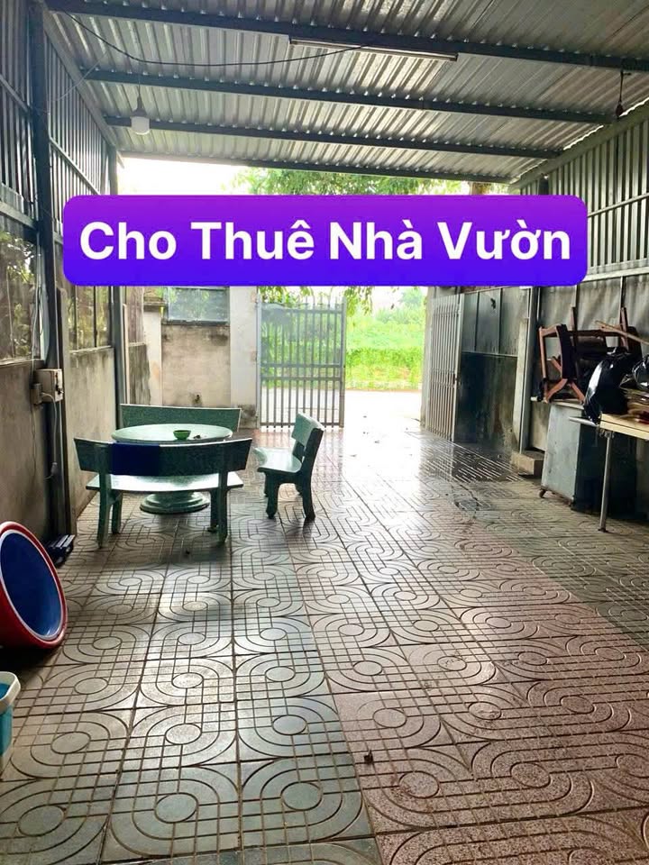 Nhà vườn cho thuê Hòa Long Bà Rịa 600m² giá 3.5 triệu - Không gian sống lý tưởng!