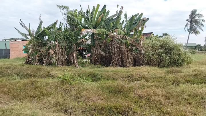 Đất thổ cư 225m² tại Ấp Long Tân, giá chỉ 120 triệu - Cơ hội đầu tư tốt!