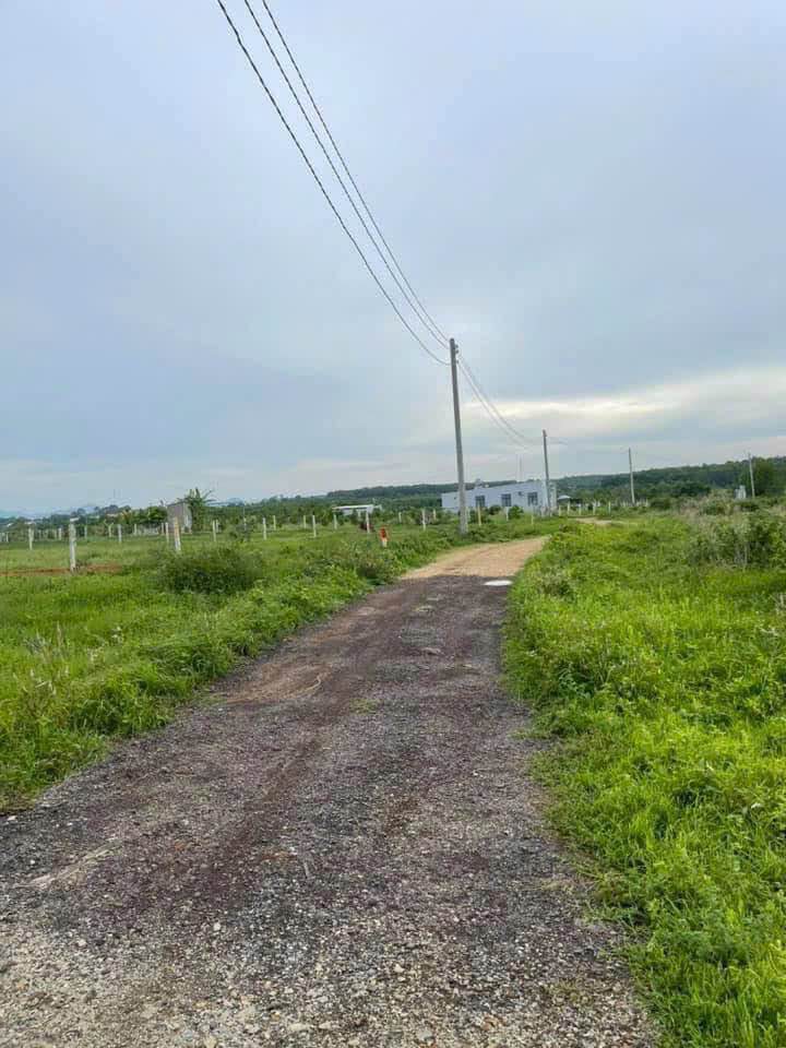 Đất thổ cư Long Tân, Đất Đỏ 110m² giá 680 triệu - View hồ tuyệt đẹp!