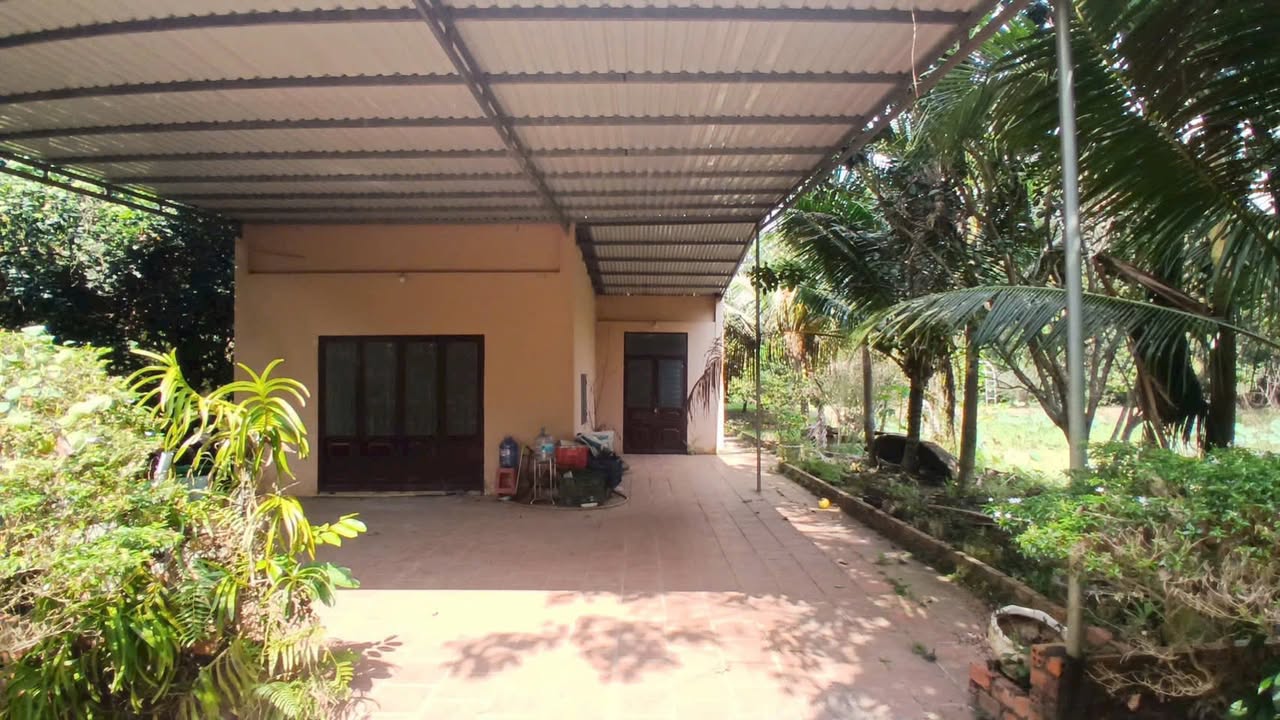 Đất cây lâu năm tại Xà Bang, Châu Đức 45.000m² giá 12.96 tỷ - Đầu tư sinh lời ngay!