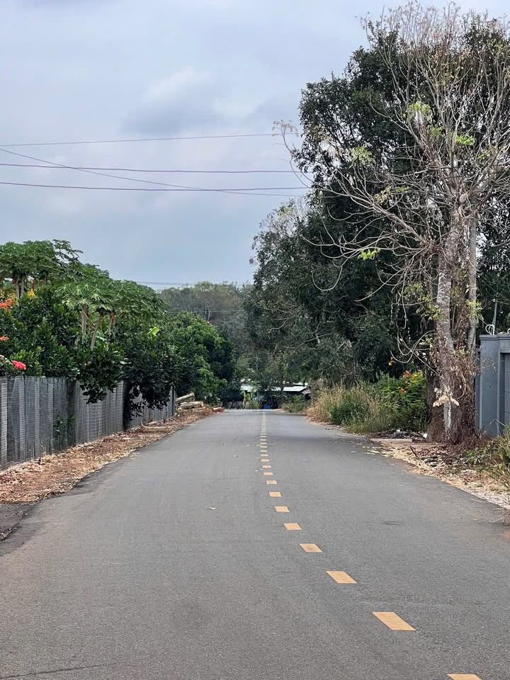 Bán lô đất mặt tiền đường 82, phường Hòa Long, 4512m² giá 3.7 tỷ - Tiềm năng phát triển lớn!