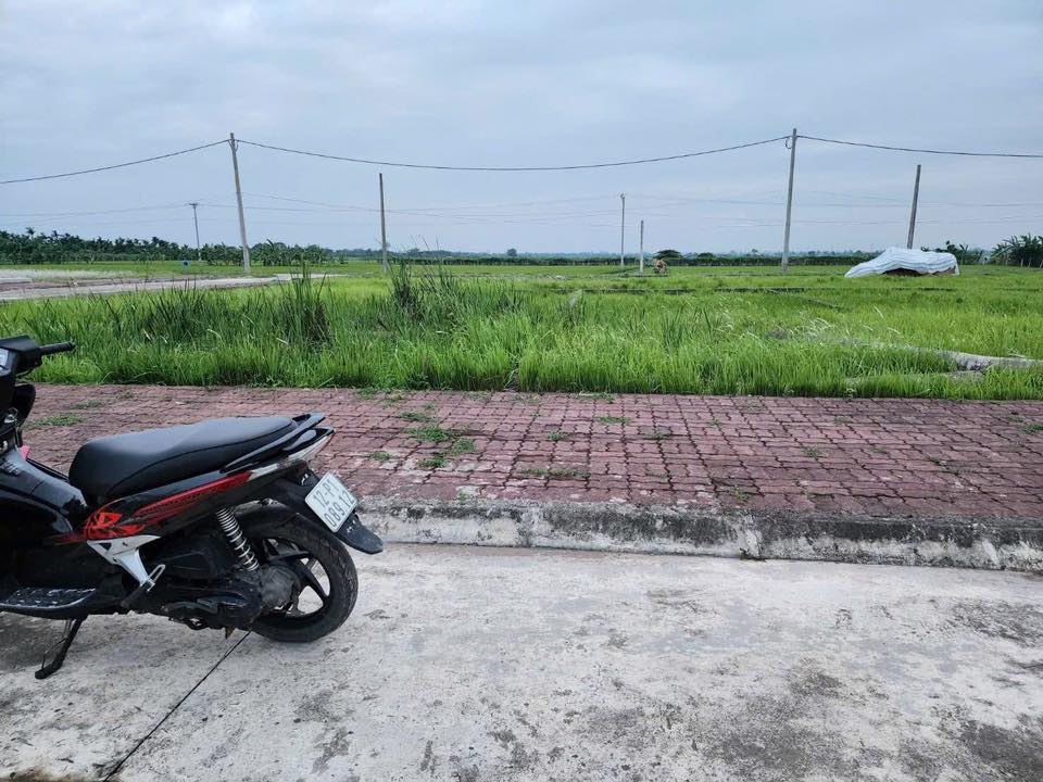 Đất nền Kim Động 130m² giá 2 tỷ - Sổ đỏ chính chủ, vị trí đắc địa!