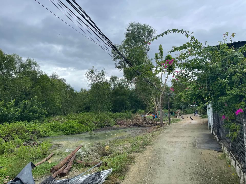 Đất nền Vạn Hưng 1450m² giá 4.35 tỷ - Đầu tư sinh lời lý tưởng!