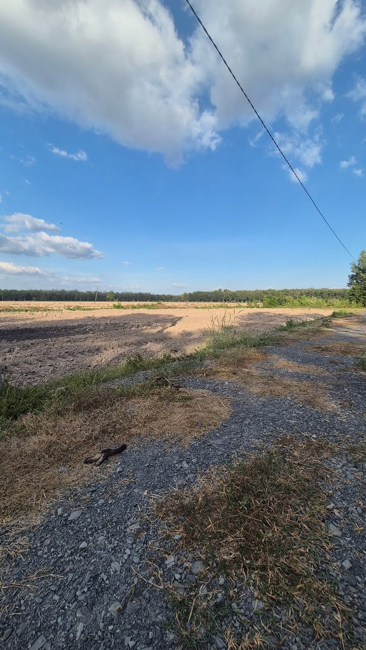 Đất nền Hảo Đước, Tây Ninh 1104.5m² giá chỉ 300 triệu - Cơ hội đầu tư tuyệt vời!