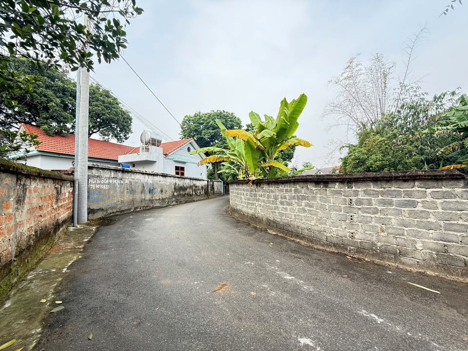 Đất nền Tứ Mỹ Tam Nông 200m² giá chỉ vài trăm triệu - Cơ hội vàng đầu tư!