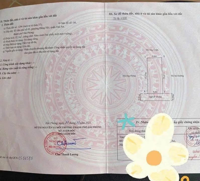 Lô đất 2 mặt tiền Lũng Đông, An Dương 52,1m² giá 2,55 tỷ - Đầu tư sinh lời ngay!